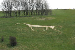 The Ridgeway at Hackpen White Horse, Wiltshire